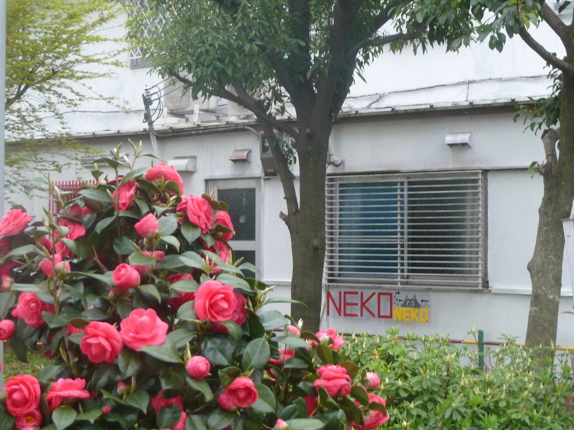 Guest House Neko Neko Toyonaka Exterior foto